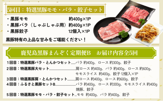 ＜定期便・全5回＞かごしま黒豚まんぞく定期便B (月1回×5ヶ月)