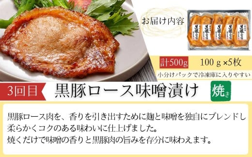 ＜定期便・全3回＞肝付町セレクト定期便《簡単調理で肉を楽しむ定期便》