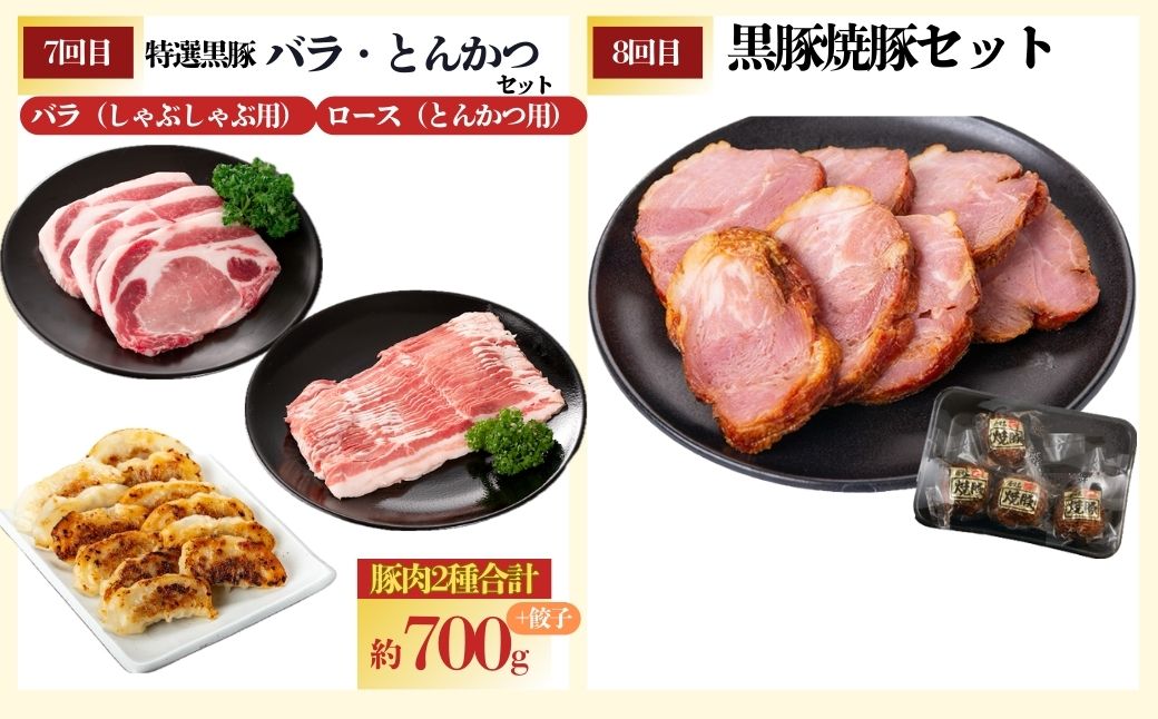 ＜定期便・全10回＞かごしま黒豚ふるさと定期便 ファミリーセットD(月1回×10ヶ月)