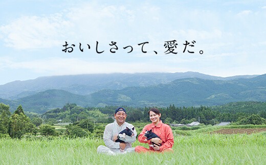 ＜定期便・全3回＞南州農場黒豚ロース味噌漬(計1.5kg・100g×5P×毎月3回)