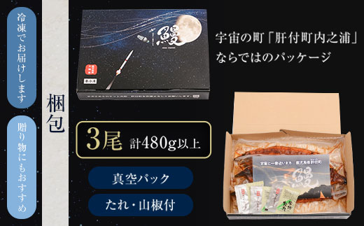 ＜定期便・計3回(連続)＞うなぎ蒲焼・大(有頭)(3尾・計480g以上×3回、タレ、山椒付)