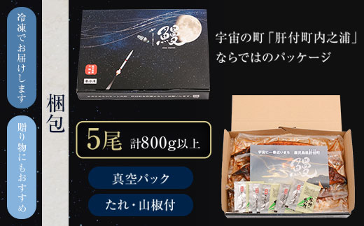 ＜定期便・計3回(連続)＞うなぎ蒲焼・大(有頭)(5尾・計800g以上×3回、タレ、山椒付)
