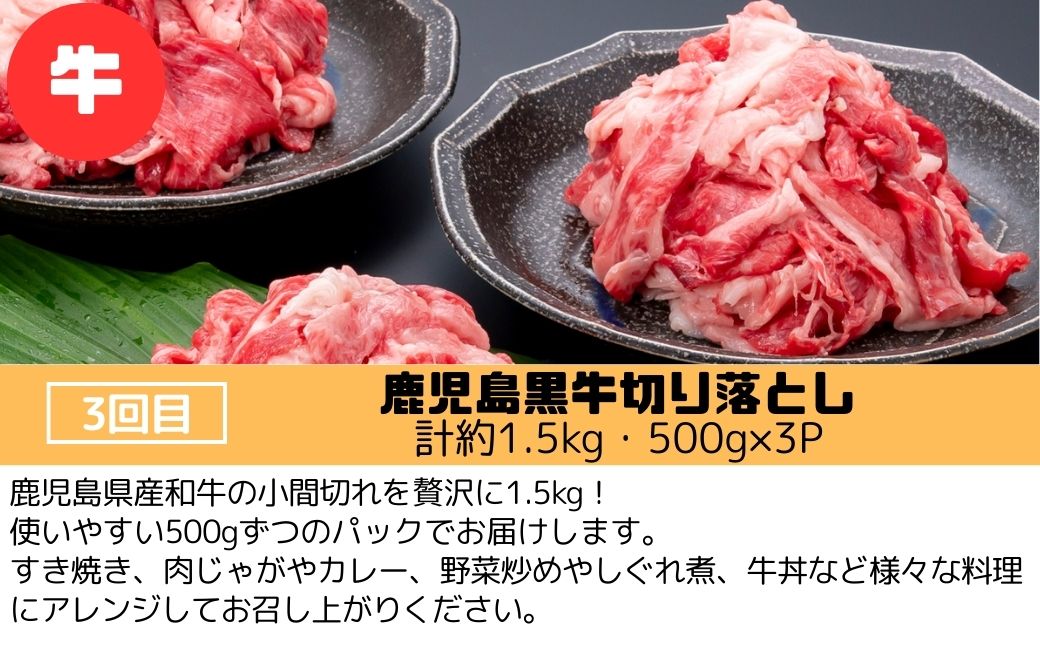  ＜定期便・全3回＞肝付町セレクト定期便《肉だらけ定期便A》