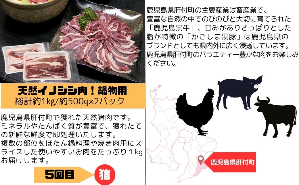  ＜定期便・全5回＞肝付町セレクト定期便《肉だらけ定期便B》