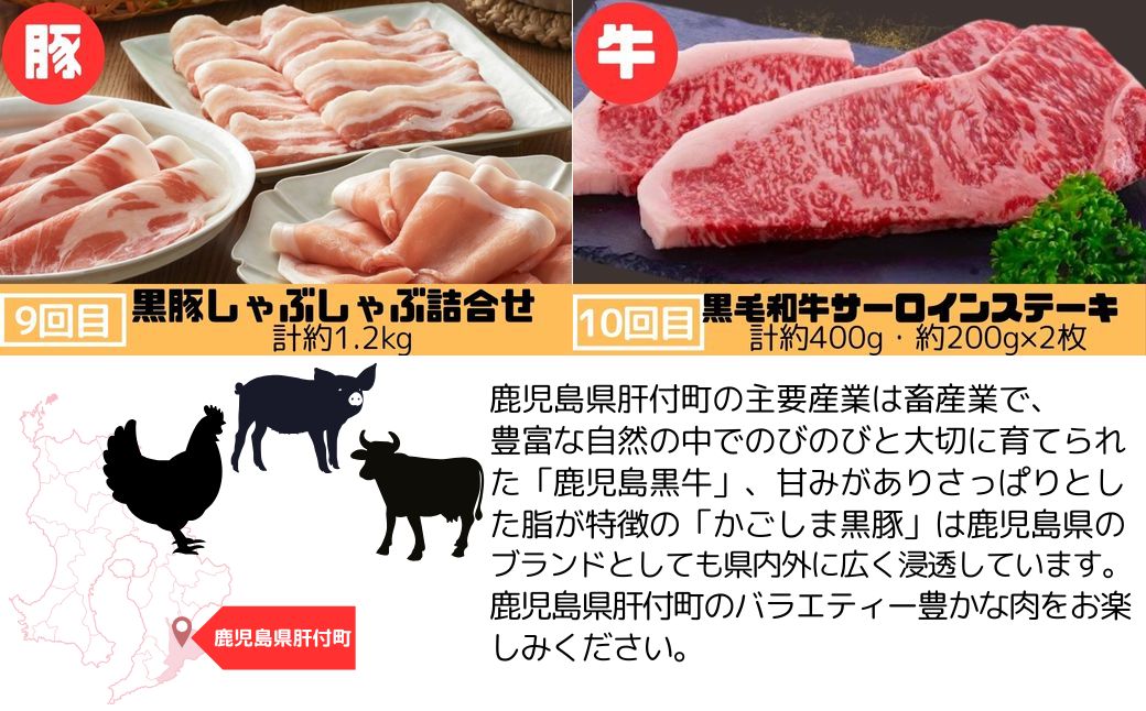 ＜定期便・全10回＞肝付町セレクト定期便《肉だらけ定期便C》