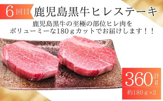  ＜定期便・全6回＞肝付町セレクト定期便《鰻と牛肉を楽しむ定期便》