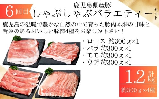 ＜定期便・全6回＞肝付町セレクト定期便《鰻と豚肉を楽しむ定期便》