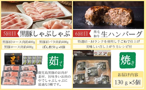 ＜定期便・全6回＞肝付町セレクト定期便《簡単調理で肉を楽しむ定期便B》