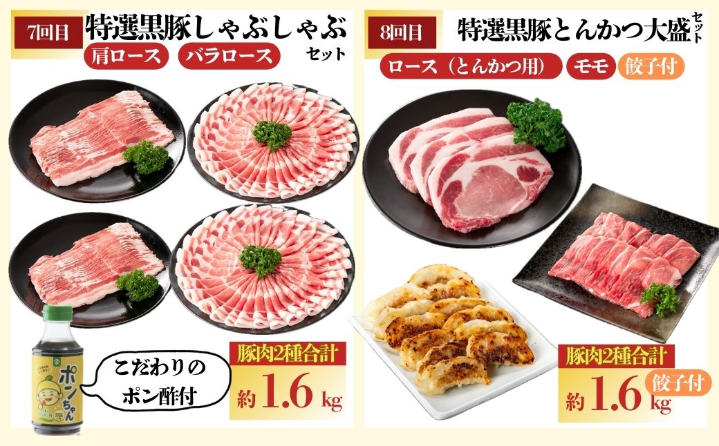 ＜定期便・全10回(毎月)＞かごしま黒豚ふるさと定期便 バラエティーセットC(月1回×10カ月)