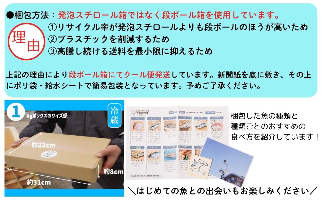 漁師厳選！ロコフィッシュ(地魚) 下処理済 鮮魚 ボックス(約1kg