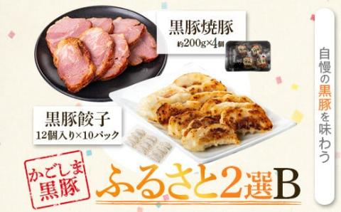 ふるさと2選B （焼豚 約200ｇ×4個、 餃子 12個入×10パック）