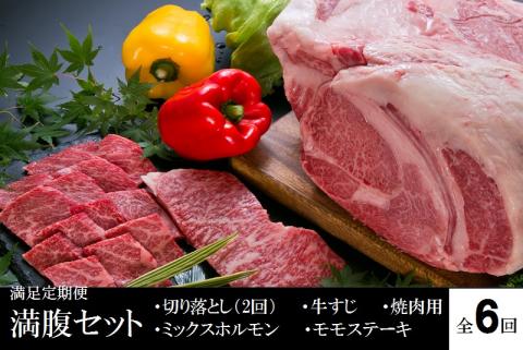 満足定期便満腹セット〈6回定期便〉