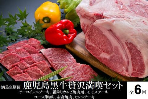 満足定期便　鹿児島黒牛贅沢満喫セット〈6回定期便〉