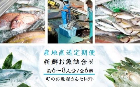 【6回定期便】魚屋さんの選んだ新鮮お魚詰め合わせ（約6～8人分）