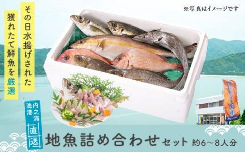 魚屋さんの選んだ新鮮お魚詰め合わせ（約6〜8人分）