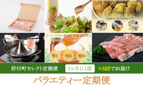 肝付町セレクト定期便《バラエティセット》【全6回】