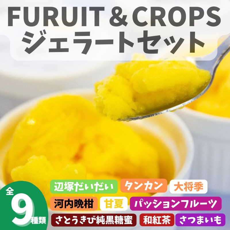 <先行受付><2026年4月以降順次発送>南のくだもの王国 南のFRUIT＆CROPS ジェラート セット (9種 9個入り)