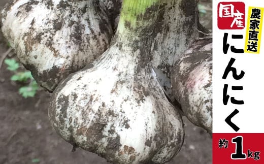 農家直送 鹿児島県産 にんにく(計1kg)
