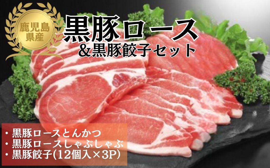鹿児島県産黒豚ロース＆餃子セット