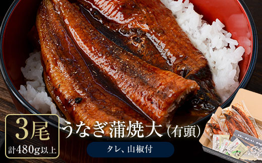うなぎ蒲焼・大(有頭)(3尾・計480g以上、タレ、山椒付)