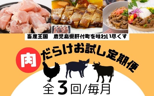 ＜定期便・全3回＞肝付町セレクト定期便《肉だらけお試し定期便》