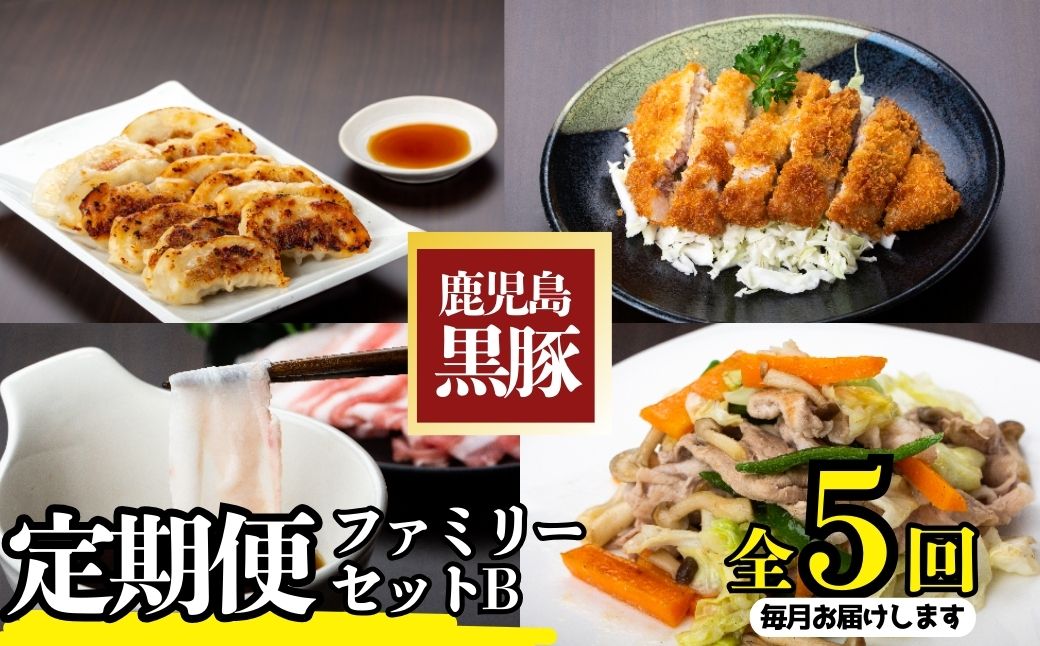 ＜定期便・全5回＞かごしま黒豚ふるさと定期便 ファミリーセットB(月1回×5ヶ月)