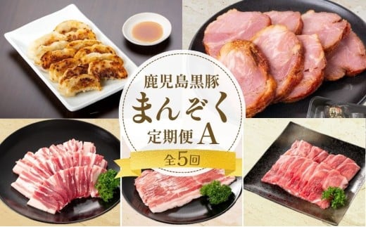 ＜定期便・全5回＞かごしま黒豚まんぞく定期便A (月1回×5ヶ月)
