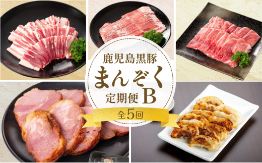＜定期便・全5回＞かごしま黒豚まんぞく定期便B (月1回×5ヶ月)