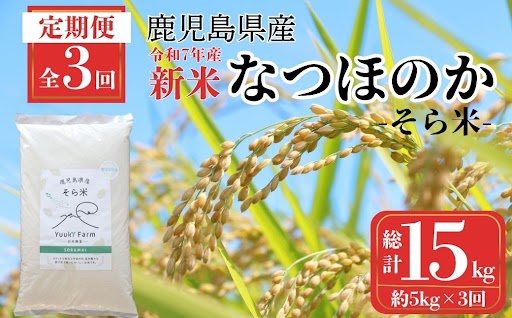 ＜定期便・計3回(連続)＞農家直送 令和7年産 新米 鹿児島県産 なつほのか 15kg （5kg×3回）国産 自家精米 精米 白米 ごはん ご飯 お米 コメ こめ【悠希農園】