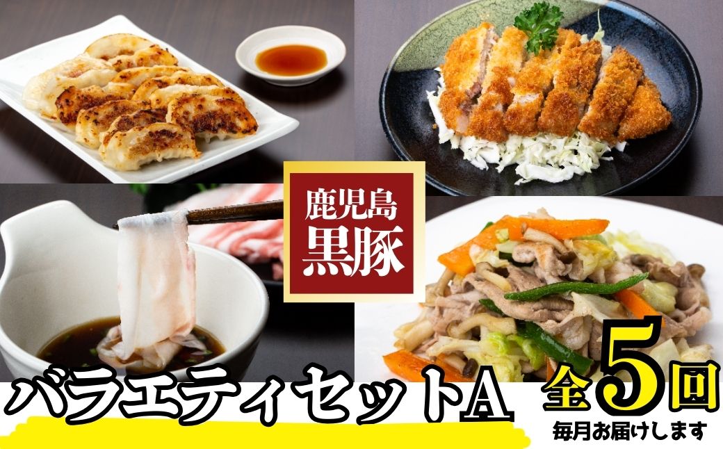 ＜定期便・全5回(毎月)＞バラエティーセットA！