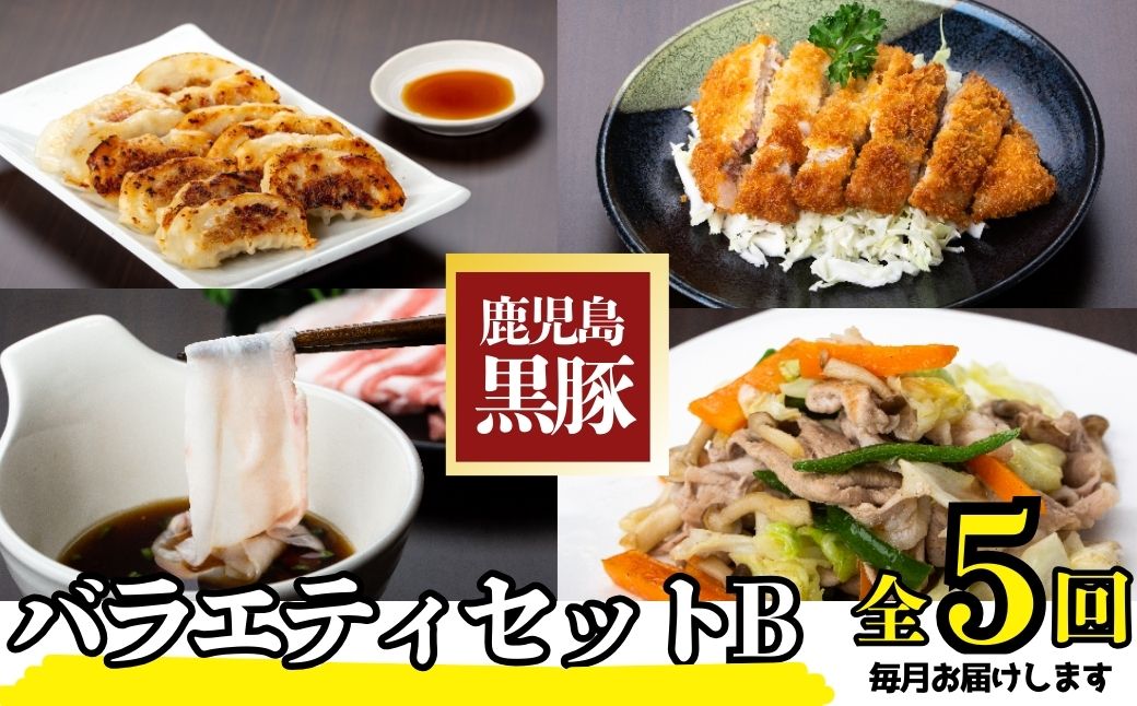 ＜定期便・全5回(毎月)＞バラエティーセットB！