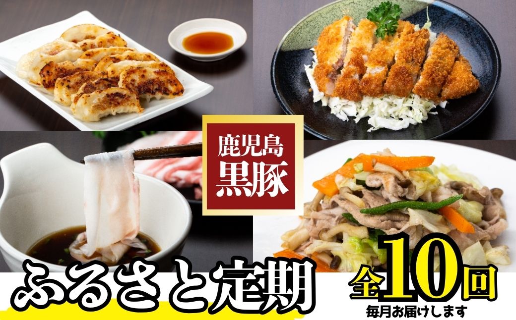 ＜定期便・全10回＞かごしま黒豚ふるさと定期便 ファミリーセットD(月1回×10ヶ月)