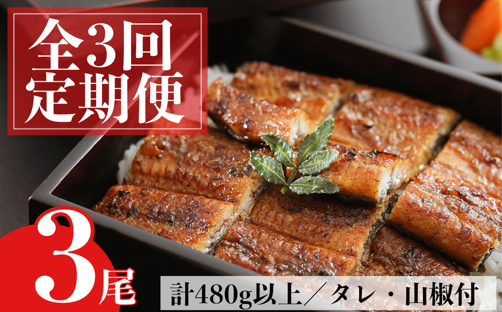 ＜定期便・計3回(連続)＞うなぎ蒲焼・大(有頭)(3尾・計480g以上×3回、タレ、山椒付)
