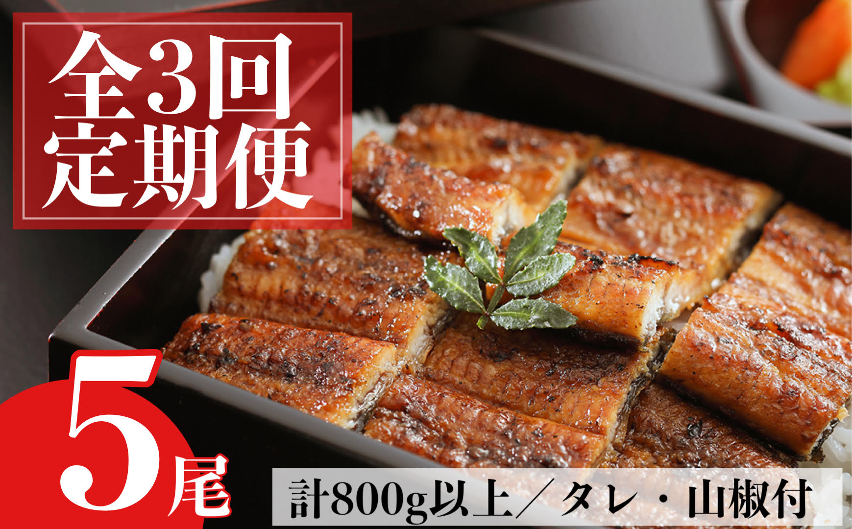＜定期便・計3回(連続)＞うなぎ蒲焼・大(有頭)(5尾・計800g以上×3回、タレ、山椒付)