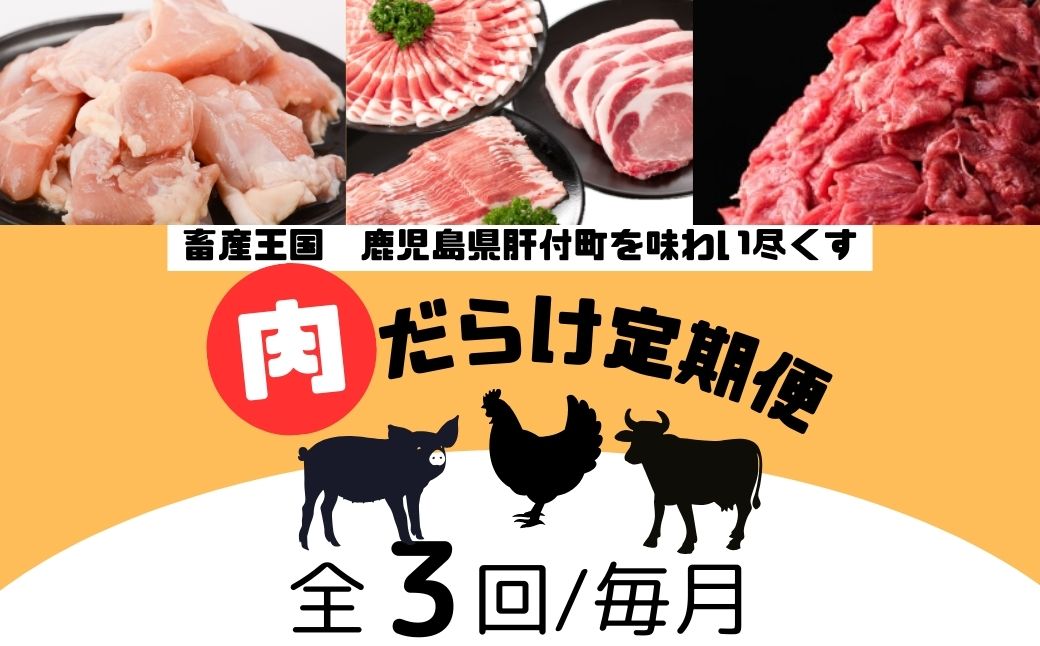  ＜定期便・全3回＞肝付町セレクト定期便《肉だらけ定期便A》