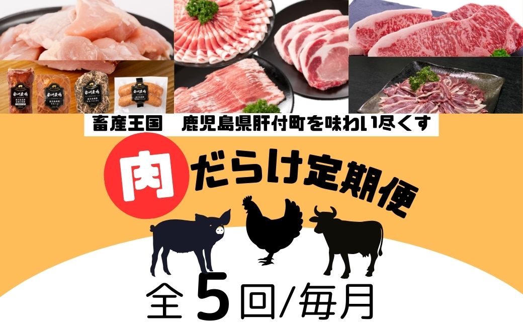  ＜定期便・全5回＞肝付町セレクト定期便《肉だらけ定期便B》