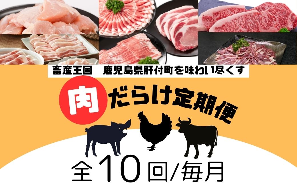 ＜定期便・全10回＞肝付町セレクト定期便《肉だらけ定期便C》