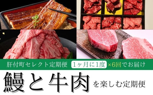  ＜定期便・全6回＞肝付町セレクト定期便《鰻と牛肉を楽しむ定期便》