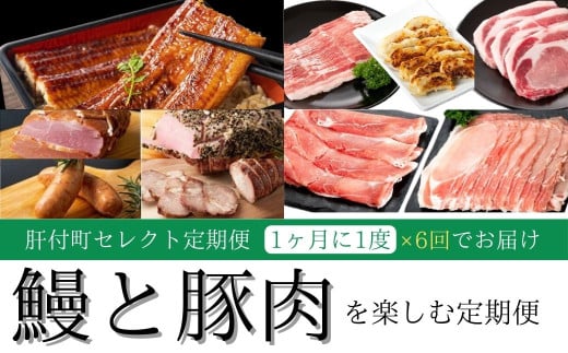 ＜定期便・全6回＞肝付町セレクト定期便《鰻と豚肉を楽しむ定期便》