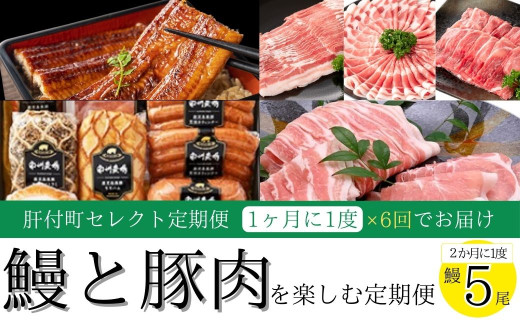 ＜定期便・全6回＞肝付町セレクト定期便《 鰻5尾と豚肉を楽しむ定期便》