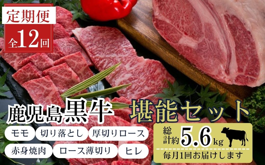  ＜定期便・全12回(連続)＞鹿児島黒牛定期便・堪能セット(全6種・合計5.6kg)