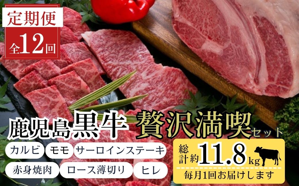＜定期便・全12回(連続)＞鹿児島黒牛 満足定期便・贅沢満喫セット(全6種・合計11.8kg)