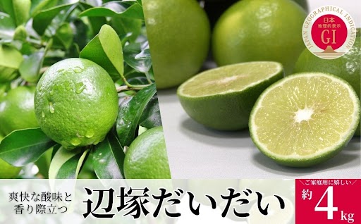 <先行受付！2026年9月中旬以降発送！> 辺塚だいだい 青果 4kg