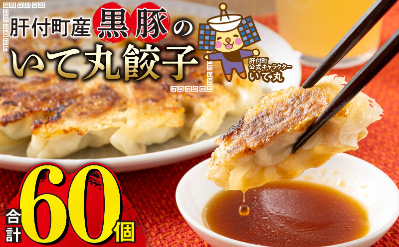 肝付町産　黒豚のいて丸餃子　合計60個（たれ付）