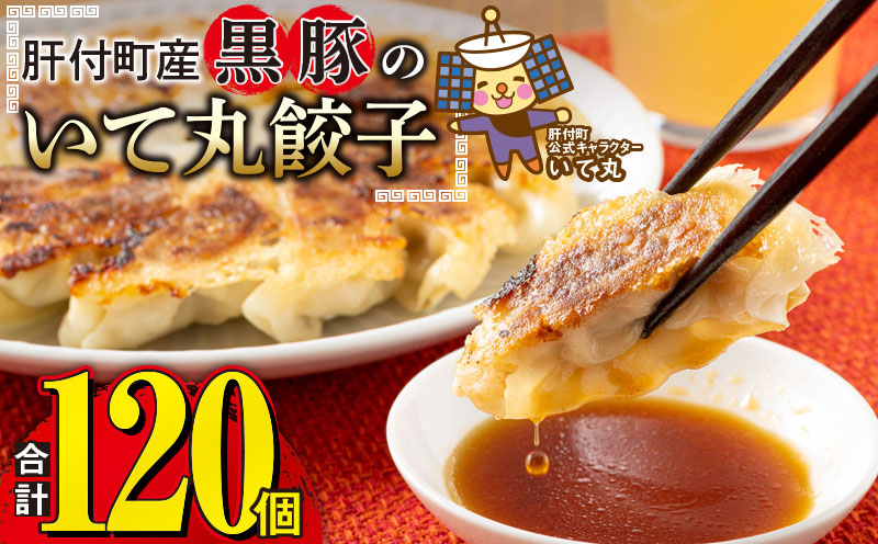 肝付町産　黒豚のいて丸餃子　合計120個（たれ付）
