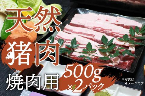 天然イノシシ肉(スライス厚め・冷凍)焼肉・鉄板焼き用 約500g×2P
