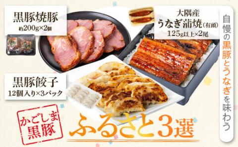 ふるさと3選(うなぎ 約125g×2尾、焼豚 約200g×2個、 餃子 12個入×3パック)