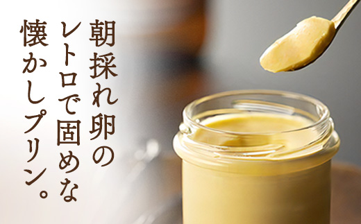 《厳選素材の絶品プリン》奄リッチプリン ゴマ＆長命草＆ラムバニラビーンズ(3種類 各2個) こだわり プリン 人気 スイーツ デザート 洋菓子 奄美大島 宇検村 鹿児島【 プリン専門店che 】 各2個（計6個）