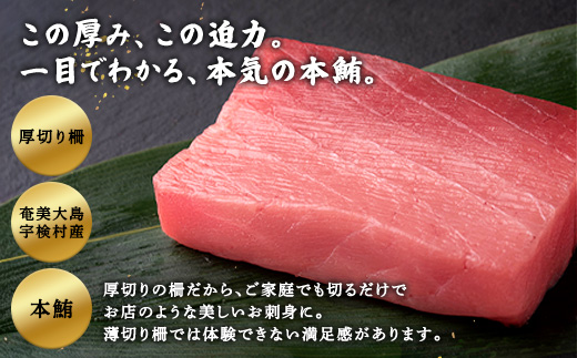 奄美大島 伝統鮪 厚切り 中トロ・赤身（各1柵 各250g）セット 柵 冷凍 鮪 まぐろ 海鮮 刺し身 お刺身 さしみ 生食用 赤身 中トロ 鹿児島県 奄美大島 宇検村 中トロ・赤身 各1柵