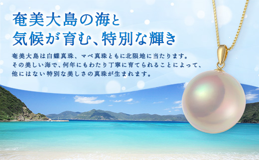 【 奄美 パール 】 パール 白蝶真珠 リング（ 7mm K18 イエローゴールド リング 2333 ）【天然】 真珠 ジュエリー アクセサリー  高級 高額寄附 ポイント 鹿児島県 奄美大島 宇検村 ギフト パール 母の日 入学式 卒業式 成人祝 結婚祝 ふるさと納税